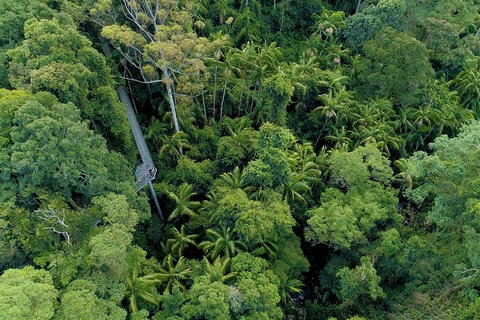 Natural Bridge, Skywalk And Mt Tamborine Adventure! - Darwin Tourism 2