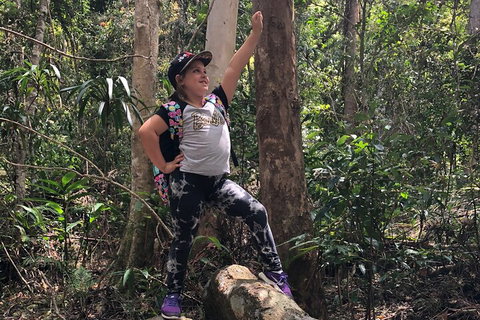 Natural Bridge, Skywalk And Mt Tamborine Adventure! - Darwin Tourism 3