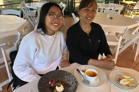 Natural Bridge, Skywalk And Mt Tamborine Adventure! - Darwin Tourism 5