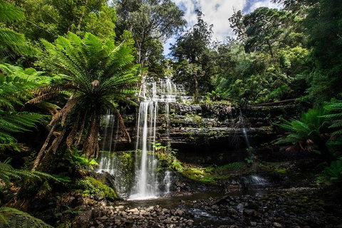 3-Day Tour To The Falls, Mountains, Lake & More Of West Coast Tasmania - Darwin Tourism 4