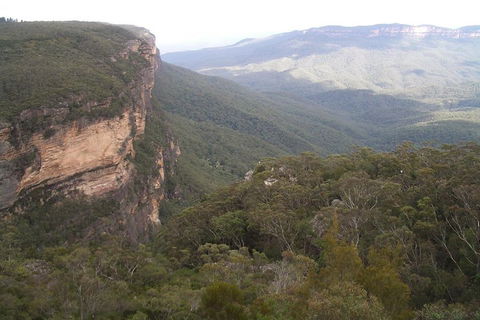 Full-Day Private Blue Mountains Tour With River Cruise - Darwin Tourism 3