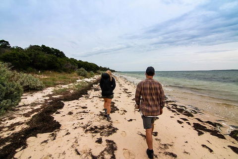 Phillip Island And French Island Wildlife Expedition - Darwin Tourism 1