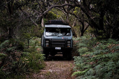 Phillip Island And French Island Wildlife Expedition - Darwin Tourism 4