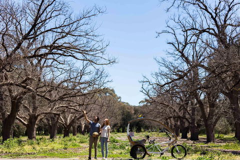 Adelaide 90-Minute Pedicab Tour: Scenic Green & River Experience - Darwin Tourism 1