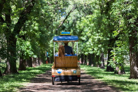 Adelaide 90-Minute Pedicab Tour: Scenic Green & River Experience - Darwin Tourism 2