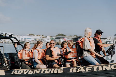 Adventure Whale Watching Tour Mooloolaba - Darwin Tourism 4