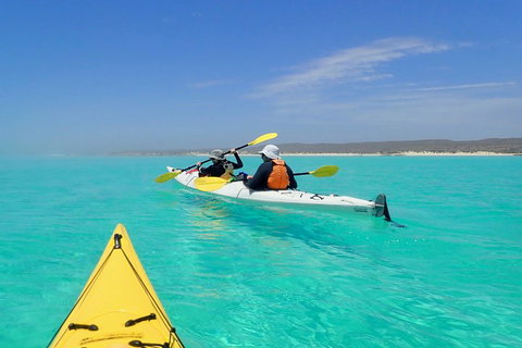 Lagoon Explorer - Ningaloo Reef Full-Day Kayaking And Snorkeling Adventure - Darwin Tourism 0