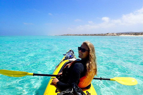 Lagoon Explorer - Ningaloo Reef Full-Day Kayaking And Snorkeling Adventure - Darwin Tourism 1