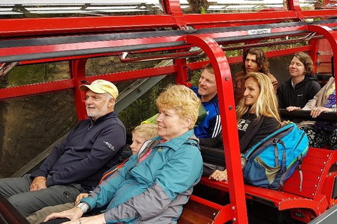 Blue Mountains Ultimate One-Day Tour - Darwin Tourism 0