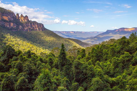 Blue Mountains Nature And Wildlife Day Tour From Sydney - Darwin Tourism 1