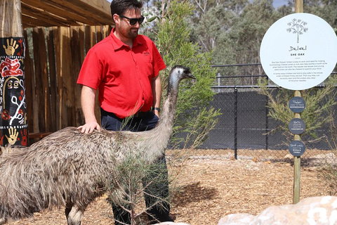 Blue Mountains Nature And Wildlife Day Tour From Sydney - Darwin Tourism 5