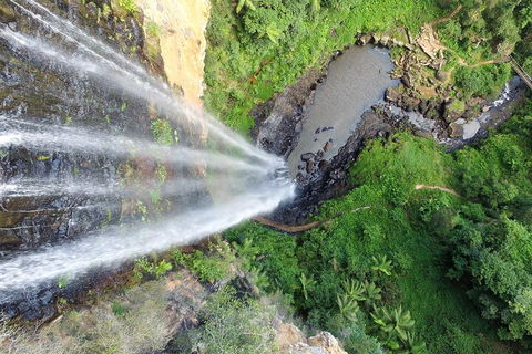 Natural Bridge & Springbrook Waterfalls Tour + Hot Air Balloon With Breakfast - Darwin Tourism 1