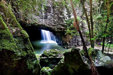 Natural Bridge & Springbrook Waterfalls Tour + Hot Air Balloon With Breakfast - Darwin Tourism 4