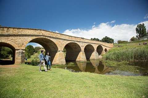 Bonorong Wildlife Park And Richmond Afternoon Tour From Hobart - Darwin Tourism 0