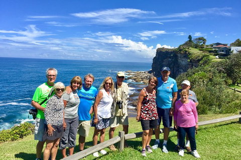Shore Excursion: Sydney's Northern Beaches & Ku-ring-gai National Park Bus Tour - Darwin Tourism 0