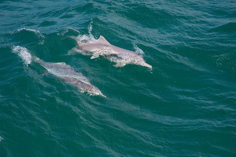 North Stradbroke Island Private Tour With Pickup - Darwin Tourism 0