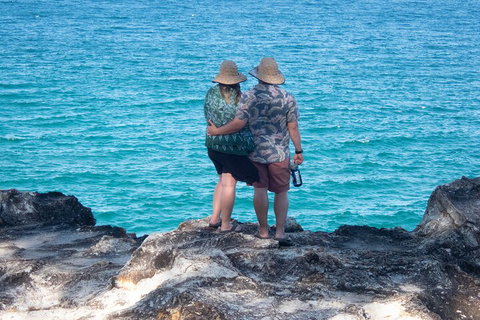 North Stradbroke Island Private Tour With Pickup - Darwin Tourism 4