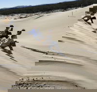 Port Stephens Bush Beach and Sand Dune 4WD Tag-Along Tour - Darwin Tourism