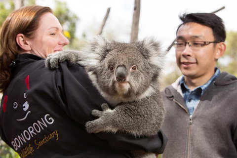 Bonorong Wildlife Park And Richmond Afternoon Tour From Hobart - Darwin Tourism 0