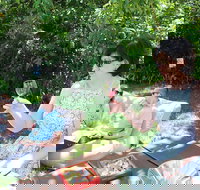 Deluxe Winery Tour to Tamborine Mountain includes gourmet two course lunch - Darwin Tourism