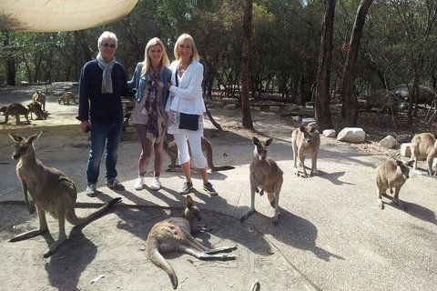 Private Scenic Day Trip From Sydney For Families And Friends - Darwin Tourism 1