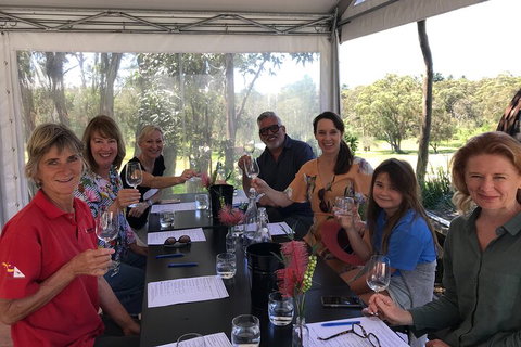 Private Scenic Day Trip From Sydney For Families And Friends - Darwin Tourism 5