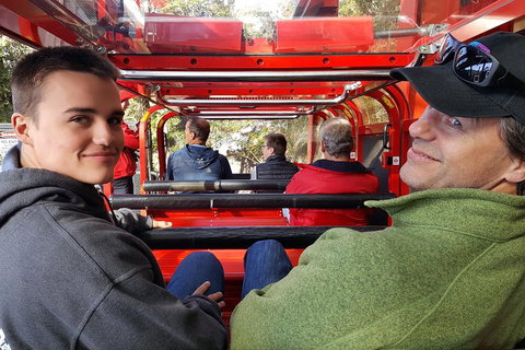 Fully Inclusive Blue Mountains Private Tour Inc Scenic World & Featherdale Entry - Darwin Tourism 1