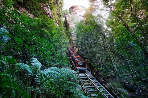Fully Inclusive Blue Mountains Private Tour Inc Scenic World & Featherdale Entry - Darwin Tourism 4
