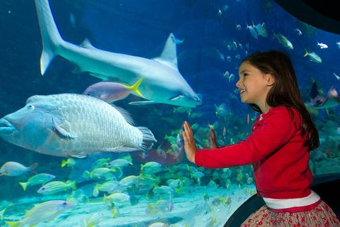 Melbourne BIG Ticket - LEGOLAND Discovery And SEA LIFE Melbourne - Darwin Tourism 1