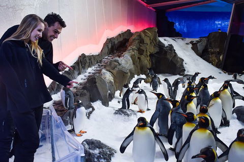 Penguin Passport At SEA LIFE Melbourne Aquarium - Darwin Tourism 0