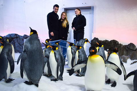 Penguin Passport At SEA LIFE Melbourne Aquarium - Darwin Tourism 4