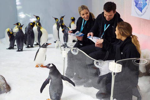 Penguin Passport At SEA LIFE Melbourne Aquarium - Darwin Tourism 5