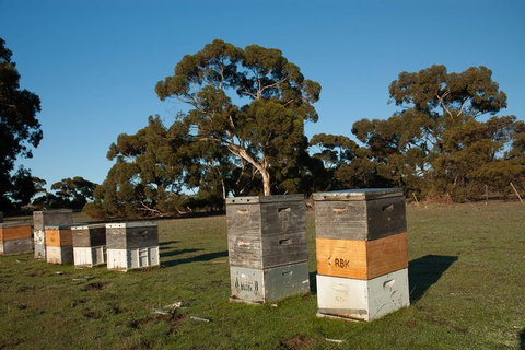 Fine Flavours - Full Day Kangaroo Island Food & Wine Tour - Darwin Tourism 1