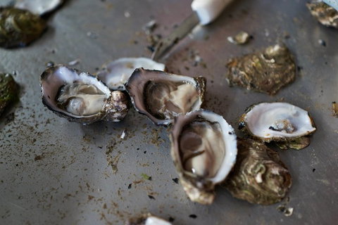Fine Flavours - Full Day Kangaroo Island Food & Wine Tour - Darwin Tourism 2