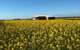 Fine Flavours - Full Day Kangaroo Island Food & Wine Tour - thumb 3