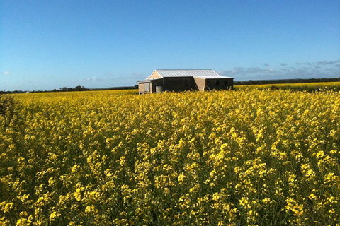 Fine Flavours - Full Day Kangaroo Island Food & Wine Tour - Darwin Tourism 3