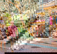 Full Day Sunshine Coast Hinterland Luxury Small Group Tour from Brisbane - Darwin Tourism