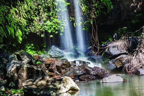 Full Day Small Group Luxury Tour To Tamborine Mountain - Darwin Tourism 0