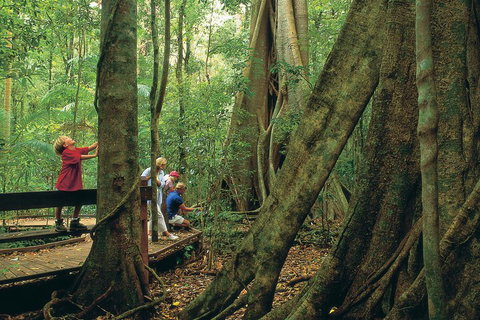 Full Day Small Group Luxury Tour To Tamborine Mountain - Darwin Tourism 1
