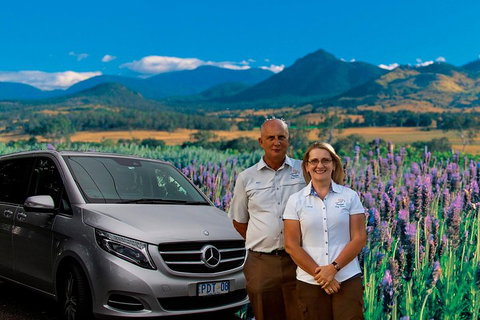 Full Day Small Group Luxury Tour To Tamborine Mountain - Darwin Tourism 3