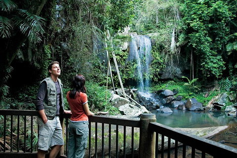 Full Day Small Group Luxury Tour To Tamborine Mountain - Darwin Tourism 4