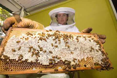 The Ginger Factory Play, Taste & Discover Bundle Admission Ticket - Darwin Tourism 2