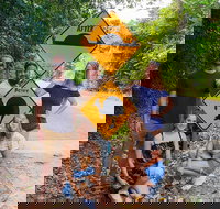 Cape Tribulation Daintree Rainforest and Wildlife Tour - Darwin Tourism