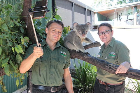 Virtual Interactive Australian Wildlife Tour With Private Guide-Wildlife Habitat - Darwin Tourism 0