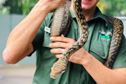 Virtual Interactive Australian Wildlife Tour With Private Guide-Wildlife Habitat - Darwin Tourism 1