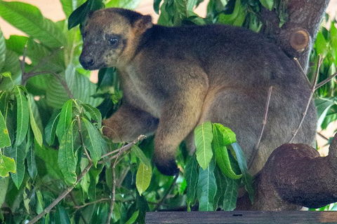 Virtual Interactive Australian Wildlife Tour With Private Guide-Wildlife Habitat - Darwin Tourism 4