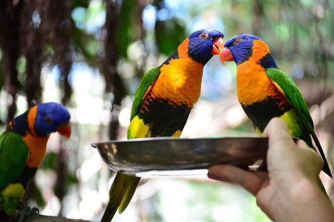 Wildlife Habitat Port Douglas - Darwin Tourism 0