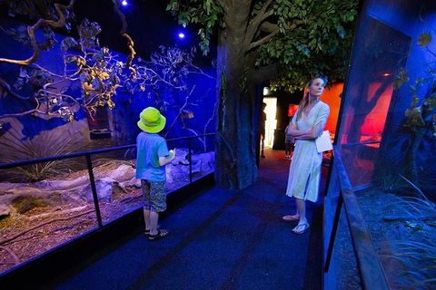 Wildlife Habitat Port Douglas - Darwin Tourism 4