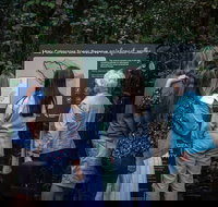 Sunshine Coast Hinterland and Noosa Day Trip from Brisbane Including Eumundi Markets and Ginger Factory - Darwin Tourism