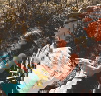 Springbrook andTamborine Rainforest Tour Incl Natural Bridge and Glow Worm Cave - Darwin Tourism